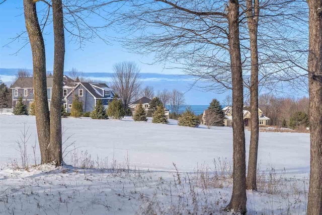 view of yard covered in snow