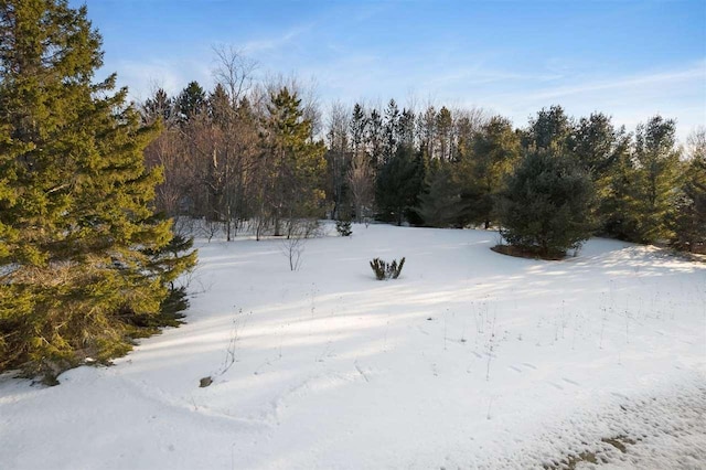 165 Pleasant Valley Dr, Harbor Springs MI, 49740 land for sale