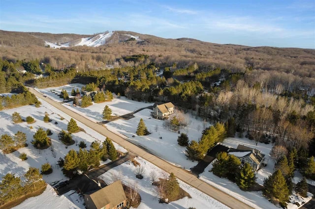 165 Pleasant Valley Dr, Harbor Springs, MI 49740
