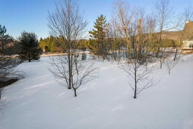 165 Pleasant Valley Dr, Harbor Springs, MI 49740