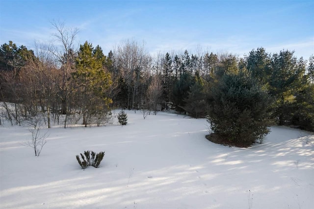 165 Pleasant Valley Dr, Harbor Springs, MI 49740