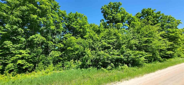 Listing photo 2 for TBD Bocook Rd, Mancelona MI 49659