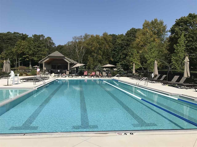 view of pool with a patio