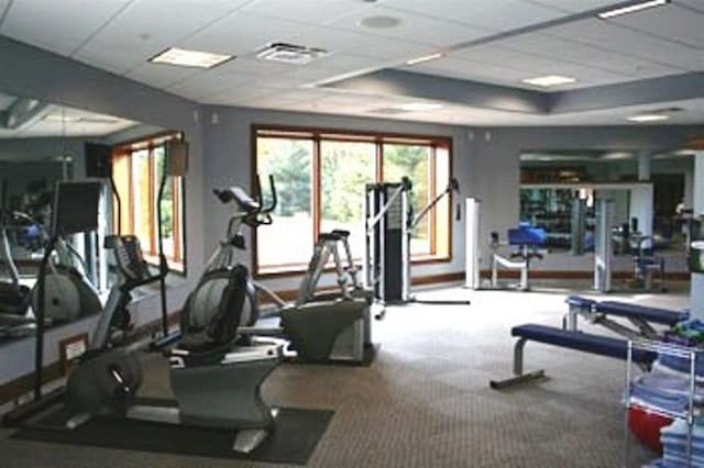 exercise room with carpet flooring and a drop ceiling