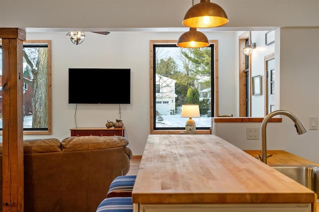 interior space with hardwood / wood-style floors, ceiling fan, and sink