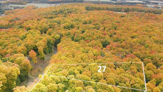 3367 Needles Dr, Harbor Springs, MI 49740
