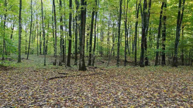 3367 Needles Dr, Harbor Springs, MI 49740