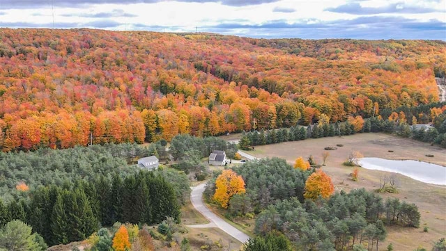 3367 Needles Dr, Harbor Springs, MI 49740
