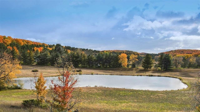 3367 Needles Dr, Harbor Springs, MI 49740