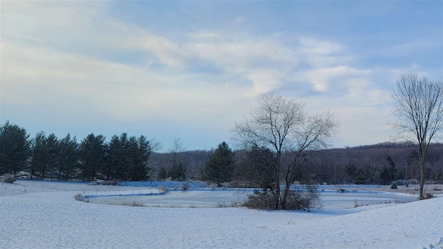 3367 Needles Dr, Harbor Springs, MI 49740