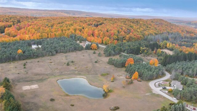 3367 Needles Dr, Harbor Springs, MI 49740