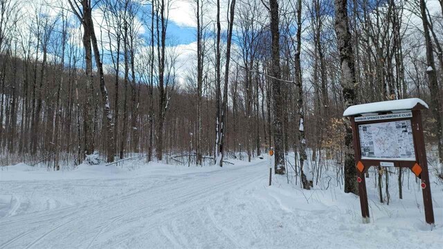 3367 Needles Dr, Harbor Springs, MI 49740