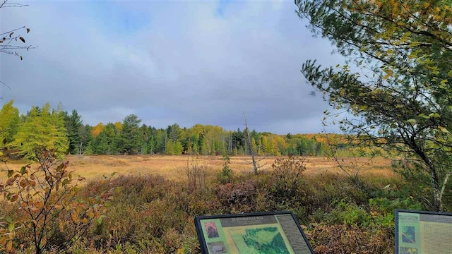3367 Needles Dr, Harbor Springs, MI 49740