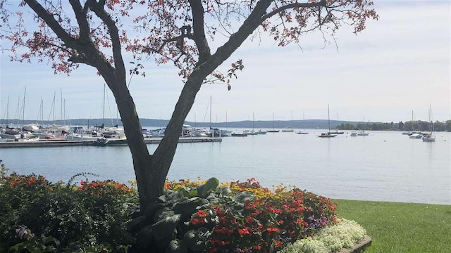 3367 Needles Dr, Harbor Springs, MI 49740