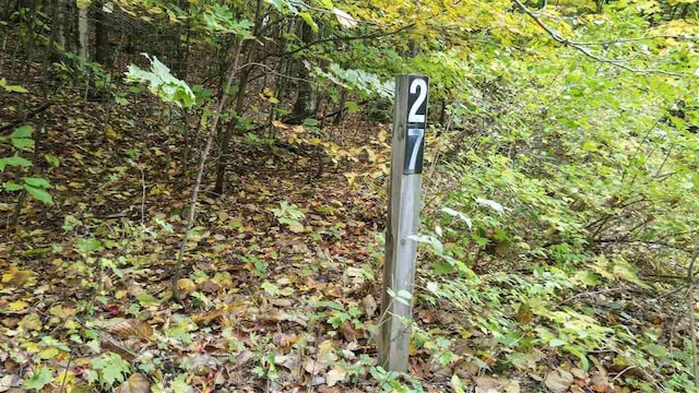 3367 Needles Dr, Harbor Springs, MI 49740