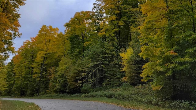 3367 Needles Dr, Harbor Springs, MI 49740