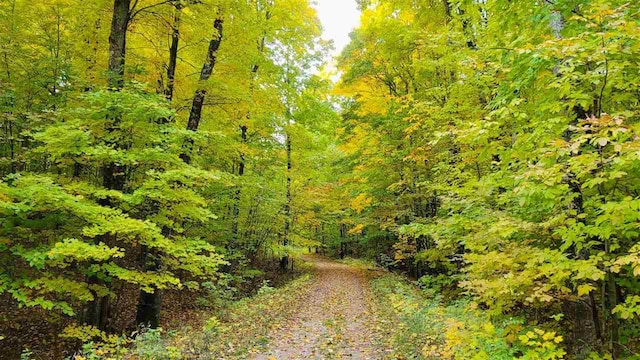 3367 Needles Dr, Harbor Springs, MI 49740