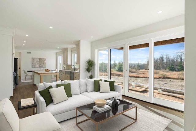 living room with light hardwood / wood-style flooring