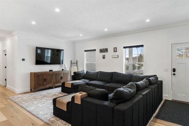 living room with ornamental molding and light wood-type flooring