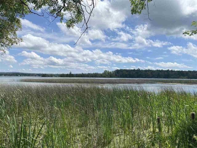 5076 Oden Rd, Alanson MI, 49706 land for sale