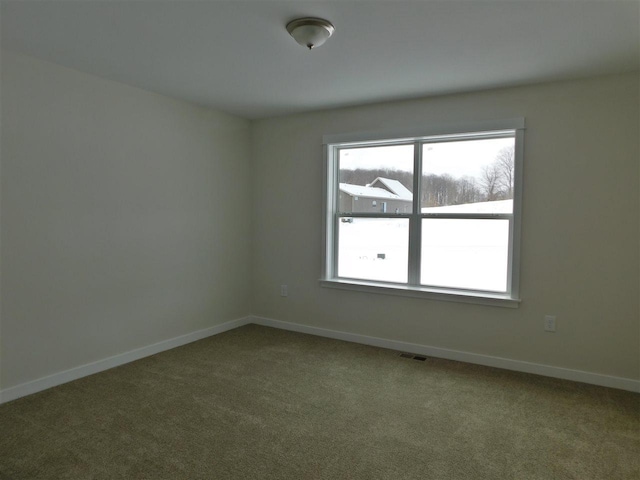 unfurnished room with carpet flooring