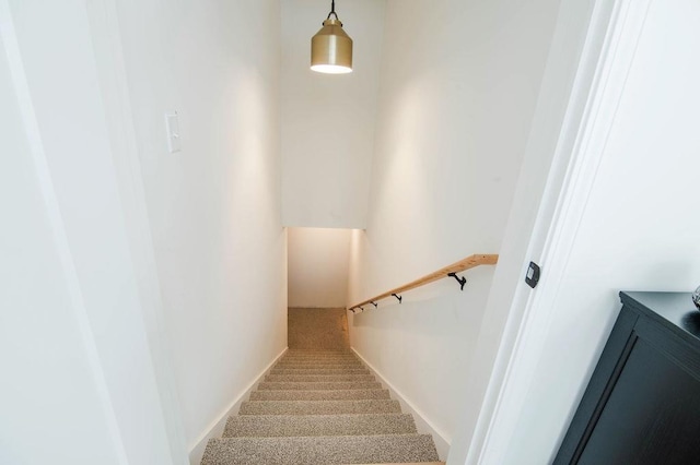 staircase featuring carpet flooring