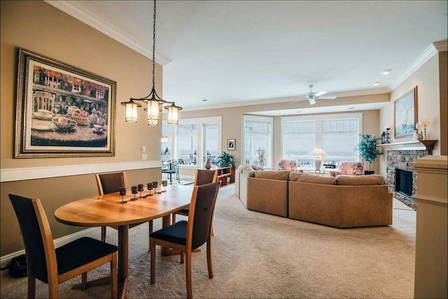 dining room with ceiling fan with notable chandelier, carpet flooring, a fireplace, and crown molding