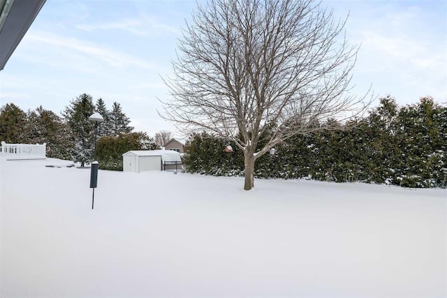 yard covered in snow featuring a storage unit