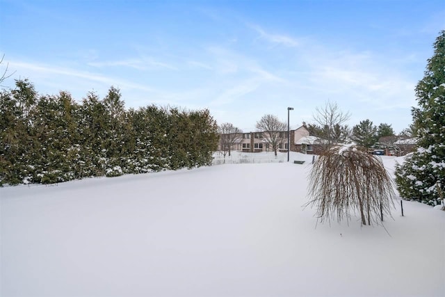 view of yard layered in snow