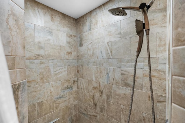 interior details with tiled shower