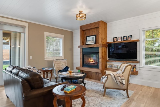 living room with a fireplace, a wealth of natural light, light hardwood / wood-style floors, and crown molding