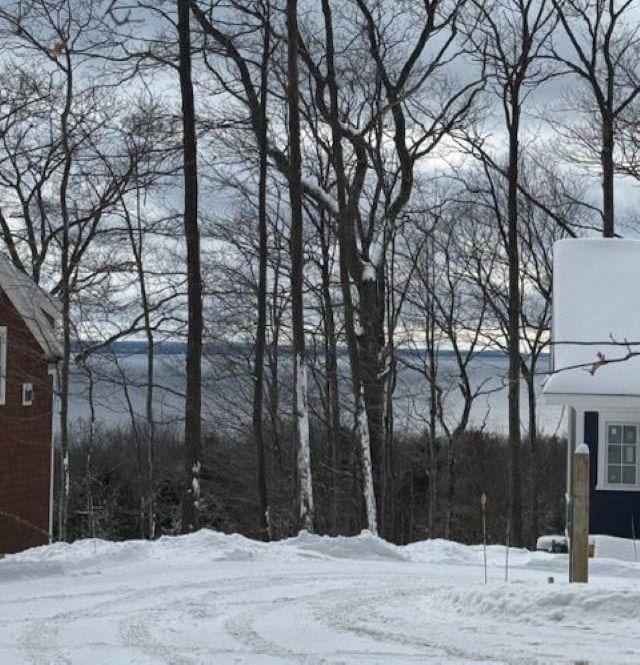 view of yard layered in snow