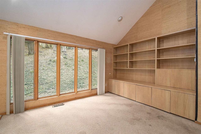 spare room featuring light colored carpet and a healthy amount of sunlight