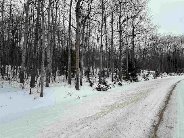 Flagg Rd, East Jordan MI, 49727 land for sale