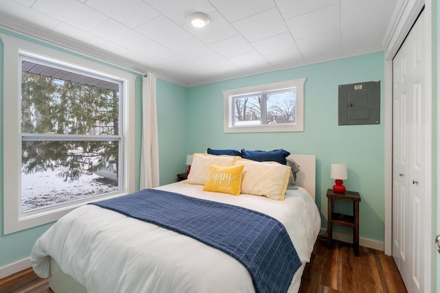 bedroom featuring electric panel, a closet, and dark hardwood / wood-style flooring