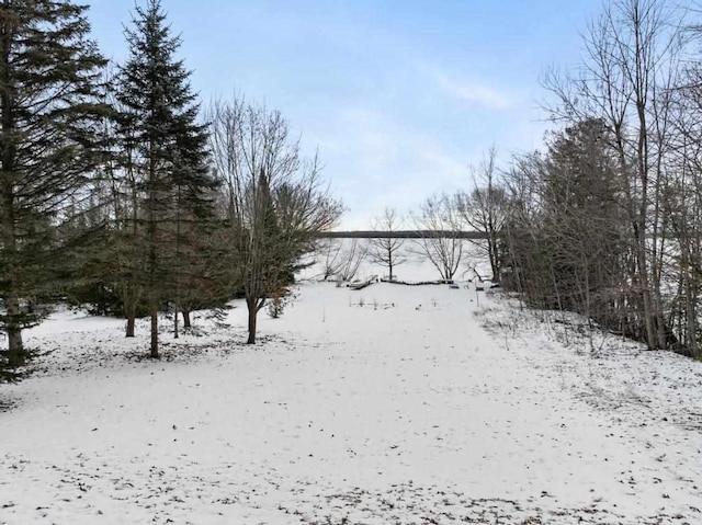 view of yard layered in snow