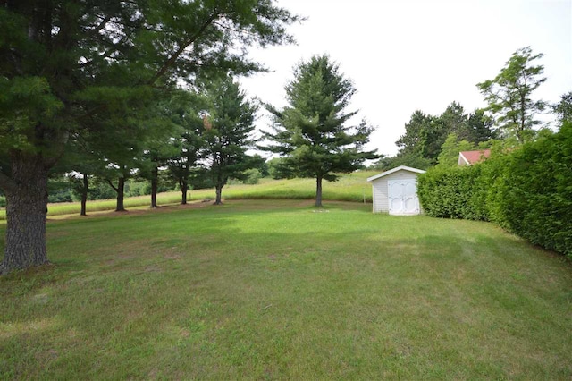 view of yard with a shed