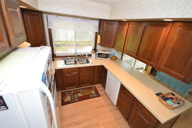 kitchen featuring white dishwasher, sink, and light hardwood / wood-style flooring