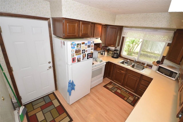 kitchen with light hardwood / wood-style floors, sink, white appliances, and a textured ceiling