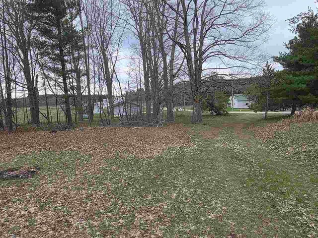 2010 S Wilson Rd, East Jordan, MI 49727 - view of yard