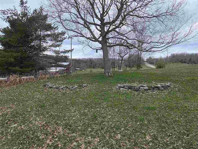 2010 S Wilson Rd, East Jordan, MI 49727 - view of yard