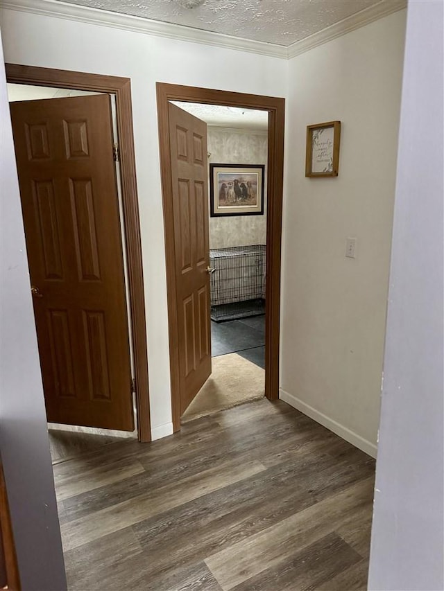 hallway featuring crown molding, dark hardwood / wood-style floors, and a textured ceiling