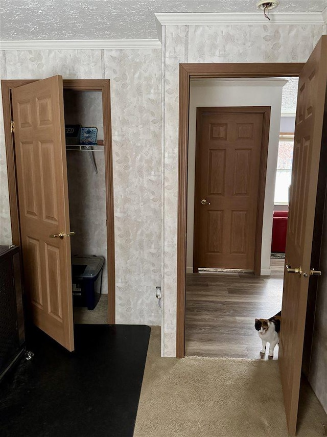 hall featuring ornamental molding, a textured ceiling, and carpet flooring