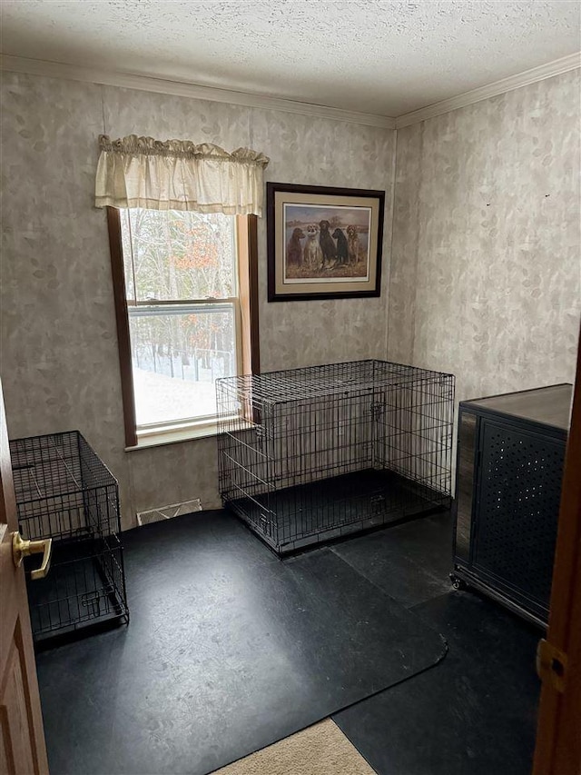 miscellaneous room with crown molding, concrete floors, and a textured ceiling