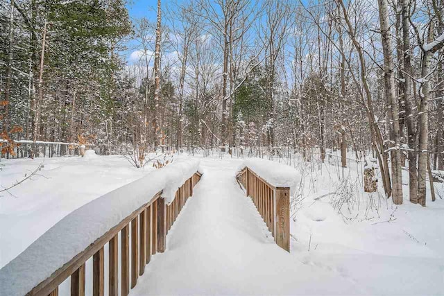 view of yard covered in snow