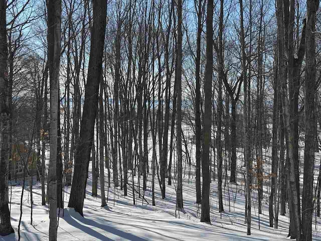 view of snowy landscape