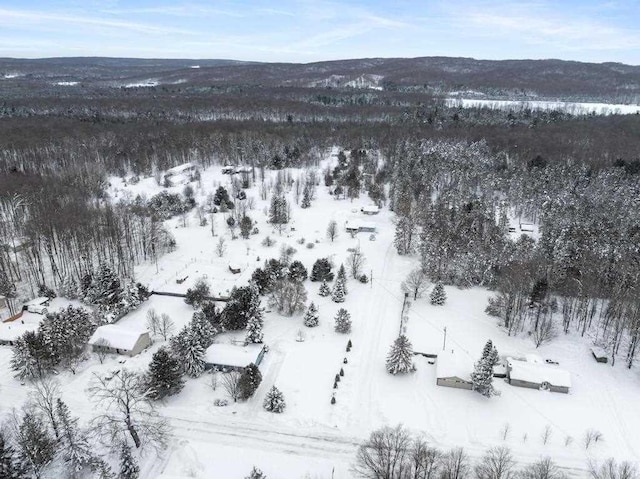 view of snowy aerial view