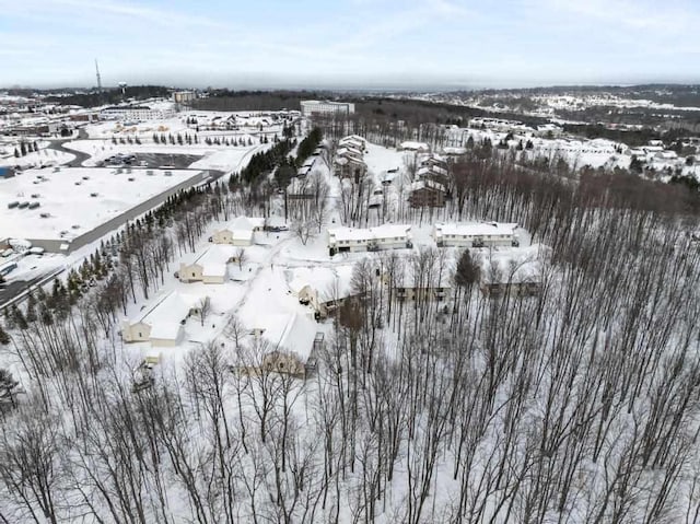 view of snowy aerial view