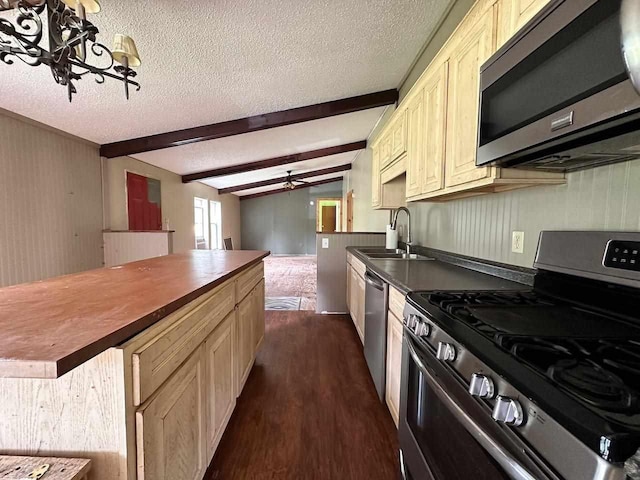 kitchen featuring sink, appliances with stainless steel finishes, a textured ceiling, dark hardwood / wood-style flooring, and ceiling fan with notable chandelier