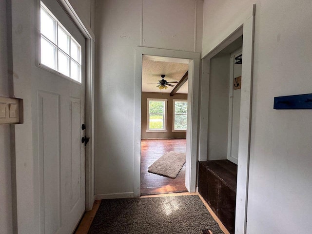 entryway featuring wood-type flooring